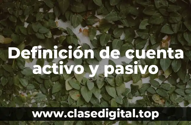 Definición de cuenta activo y pasivo