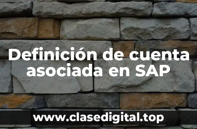 Definición técnica de cuenta asociada en SAP