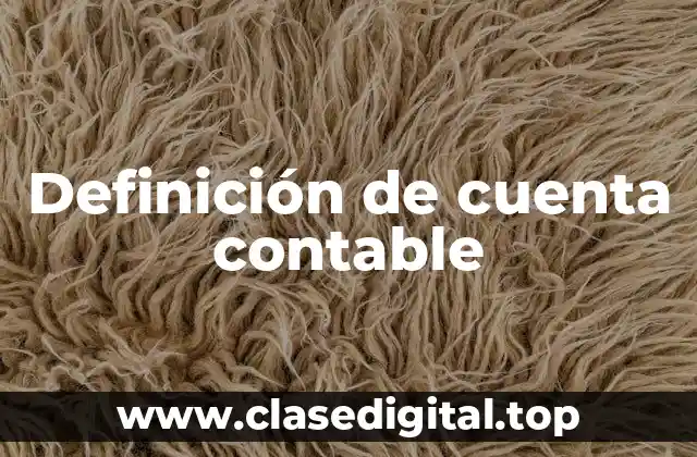 Definición de cuenta contable