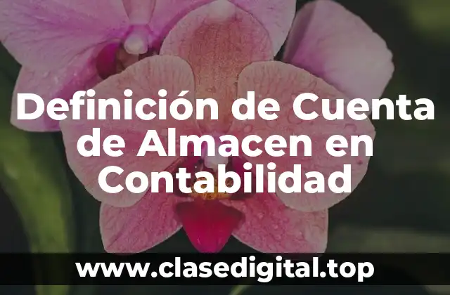 Definición de Cuenta de Almacen en Contabilidad