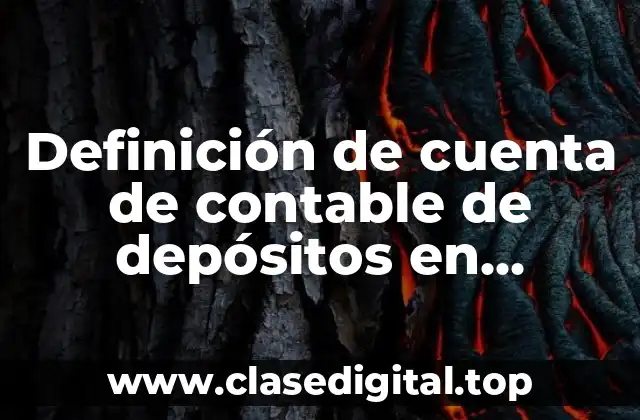 Definición de cuenta de contable de depósitos en garantía