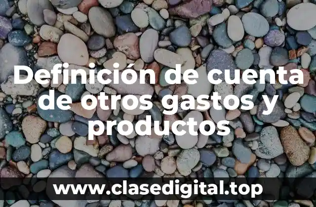 Definición técnica de cuenta de otros gastos y productos