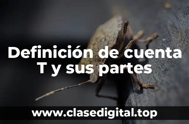 Definición de cuenta T y sus partes