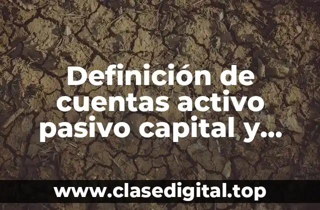 Definición de cuentas activo pasivo capital y gastos ventajas