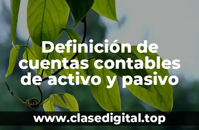 Definición de cuentas contables de activo y pasivo