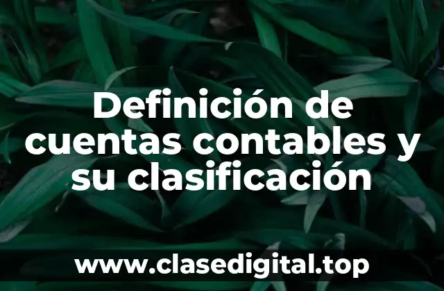 Definición de cuentas contables y su clasificación