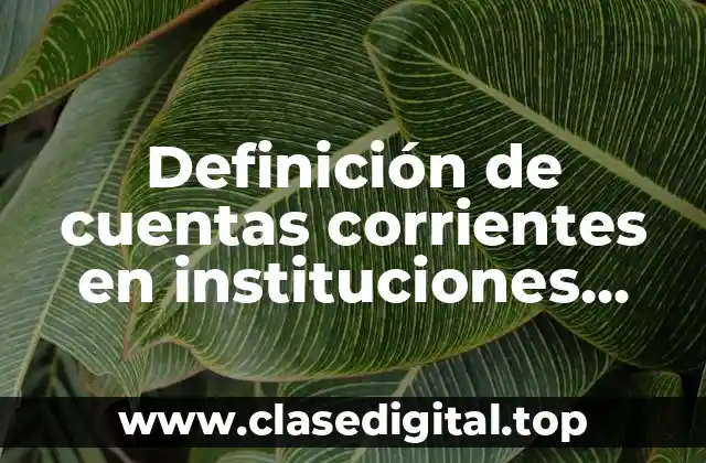 Definición de cuentas corrientes en instituciones financieras