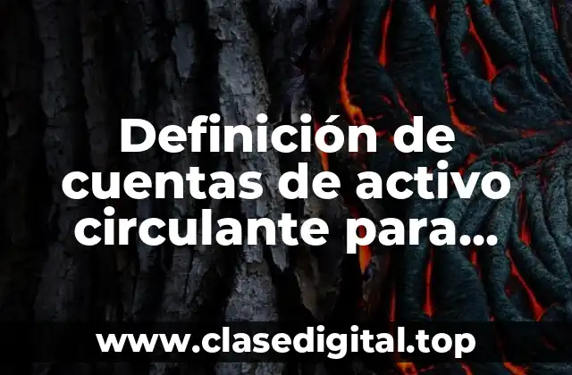 Ejemplos de cuentas de activo circulante para realizar