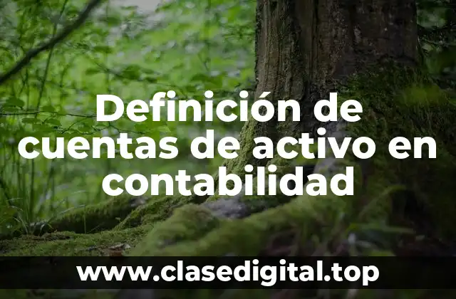 Definición de cuentas de activo en contabilidad