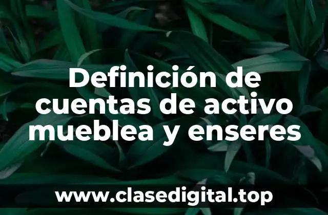 Definición de cuentas de activo mueblea y enseres