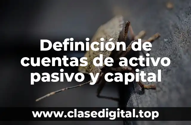 Definición de cuentas de activo pasivo y capital