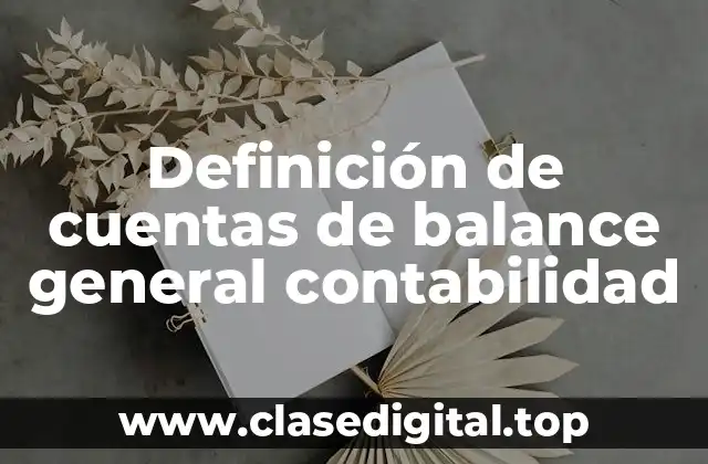 Definición técnica de cuentas de balance general contabilidad