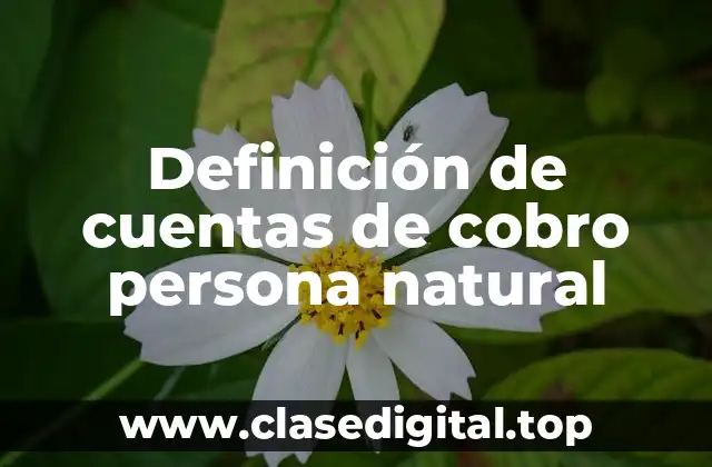 Definición de cuentas de cobro persona natural