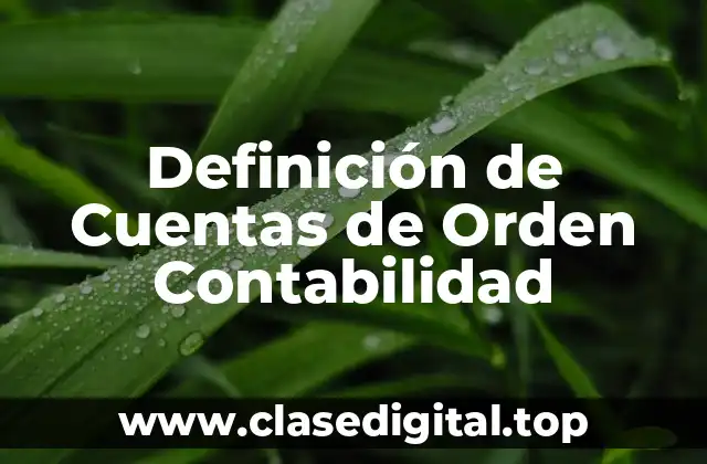 Definición técnica de Cuentas de Orden Contabilidad