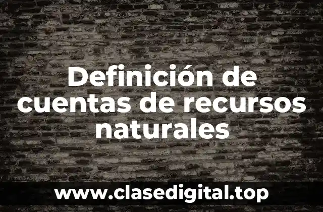 Definición de cuentas de recursos naturales