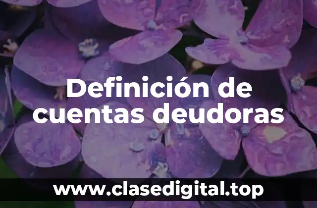Definición de cuentas deudoras