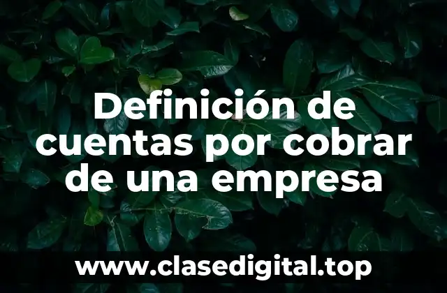 Ejemplos de cuentas por cobrar de una empresa