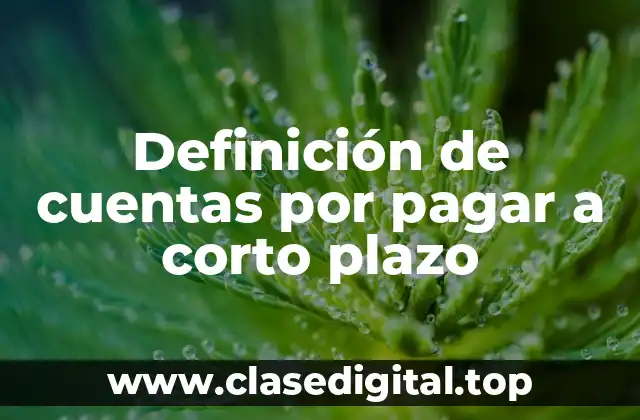 Ejemplos de cuentas por pagar a corto plazo