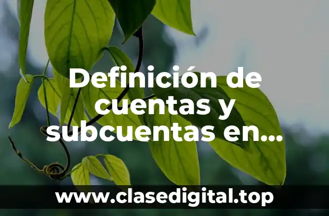Ejemplos de cuentas y subcuentas en contabilidad