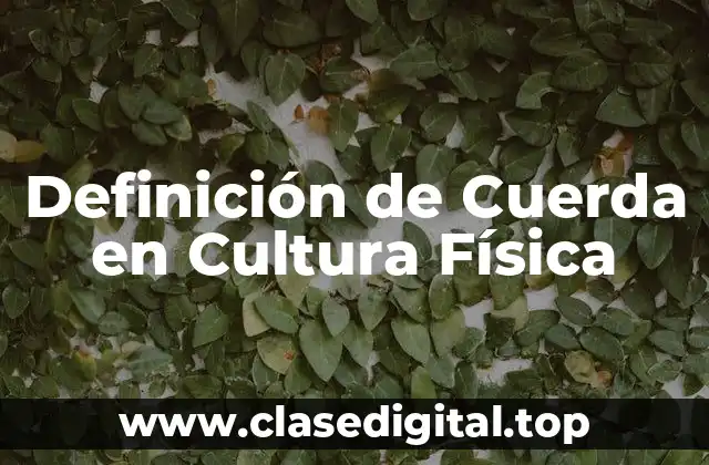 Definición Técnica de Cuerda en Cultura Física