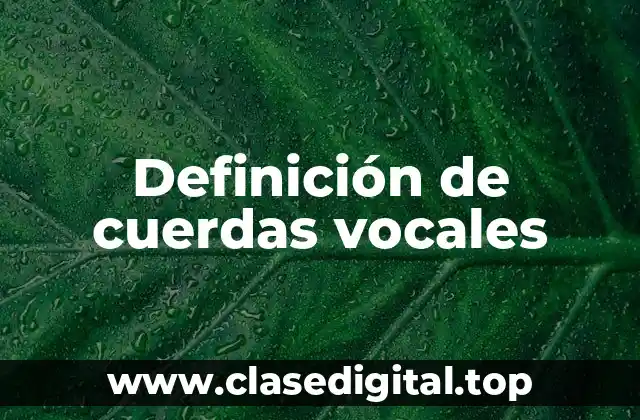 Definición de cuerdas vocales