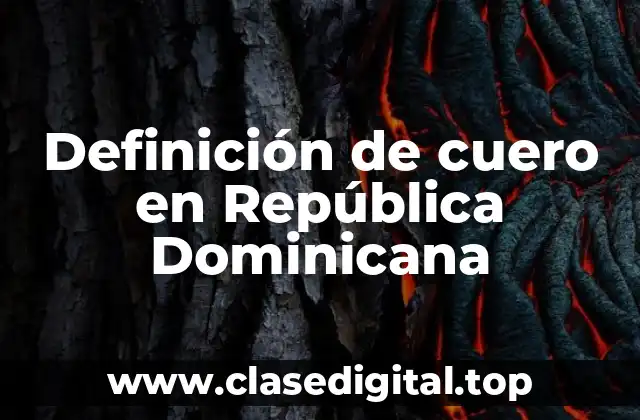 Definición de cuero en República Dominicana