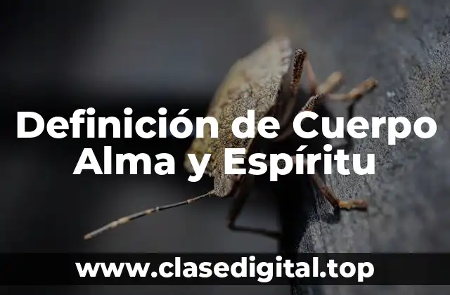 Definición ténica de Cuerpo Alma y Espíritu