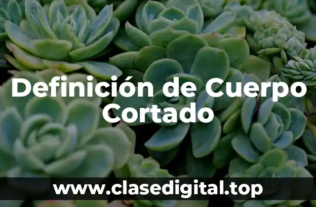 Definición de Cuerpo Cortado