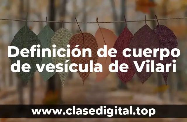 Definición de cuerpo de vesícula de Vilari