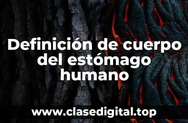 Definición de cuerpo del estómago humano