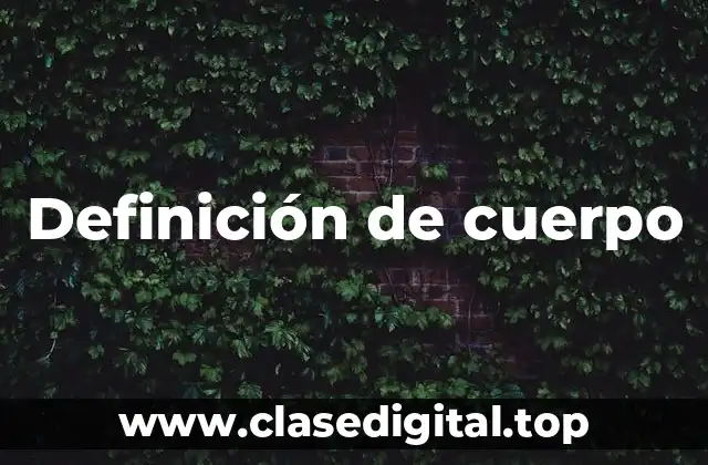 Definición de cuerpo