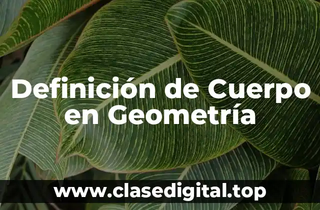 Definición de Cuerpo en Geometría