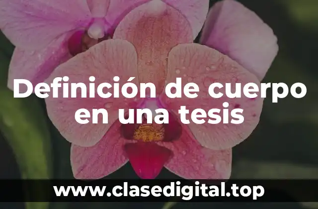 Definición de cuerpo en una tesis