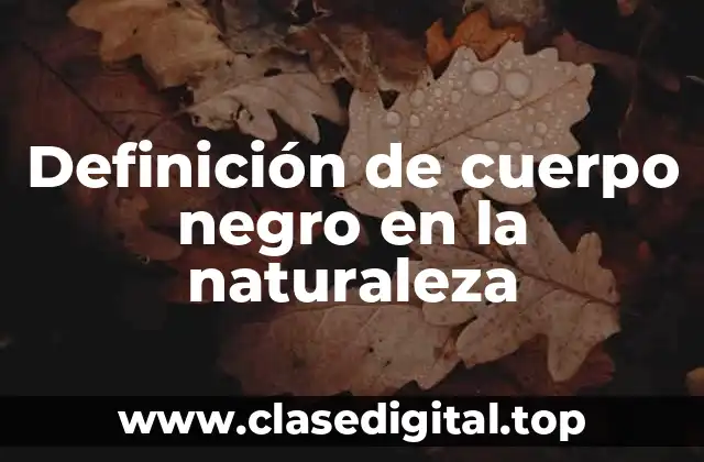 Definición de cuerpo negro en la naturaleza