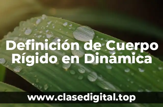 Definición técnica de cuerpo rígido en dinámica