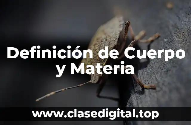 Definición de Cuerpo y Materia