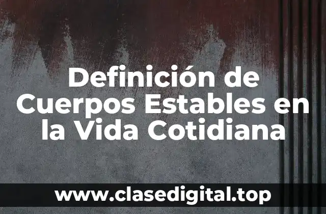 Definición de Cuerpos Estables en la Vida Cotidiana