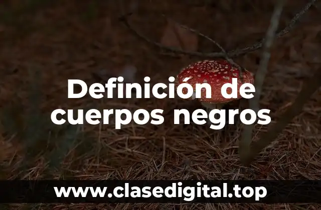 Definición de cuerpos negros