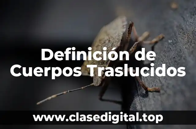 Definición Técnica de Cuerpos Traslucidos