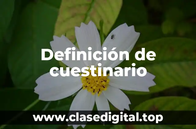 Ejemplos de cuestinario