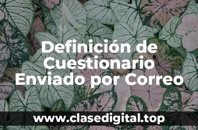 Definición de Cuestionario Enviado por Correo