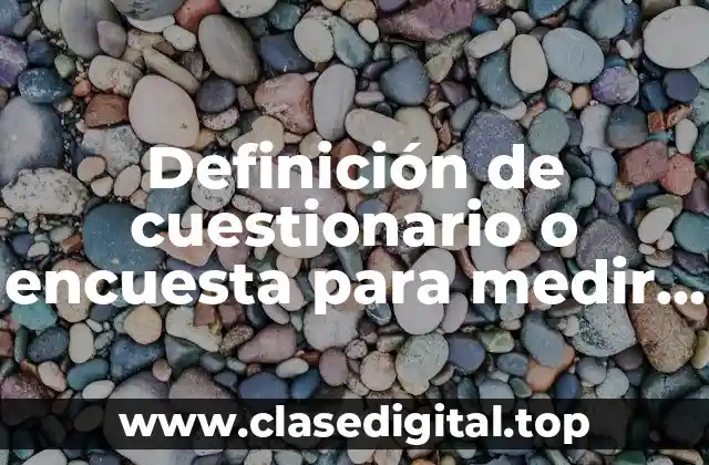 Definición de cuestionario o encuesta para medir liderazgo