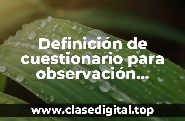 Definición de cuestionario para observación estructurada monografías