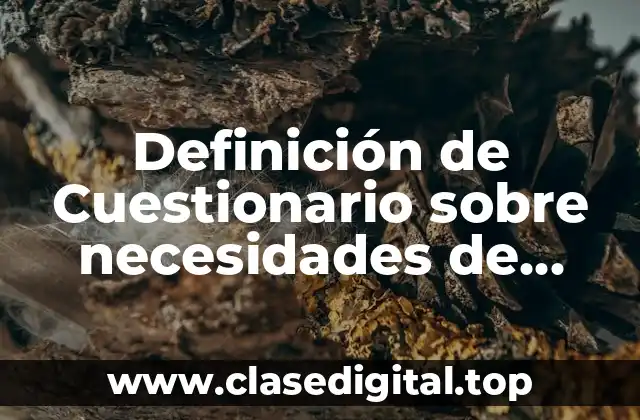 Definición de Cuestionario sobre necesidades de proyecto productivo