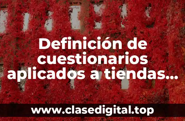Definición de cuestionarios aplicados a tiendas comerciales