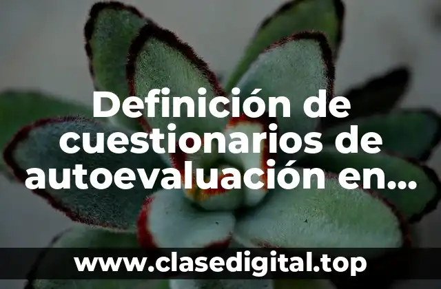 Definición de cuestionarios de autoevaluación en matemáticas