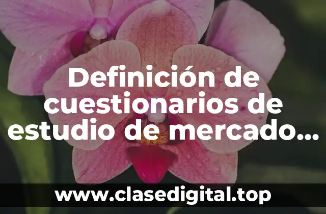 Definición de cuestionarios de estudio de mercado producto nuevo