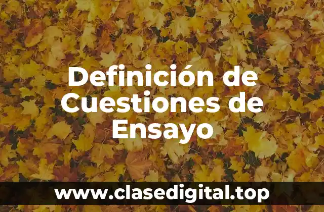 Definición de Cuestiones de Ensayo