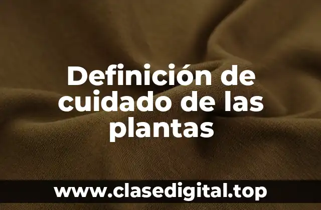 Definición de cuidado de las plantas