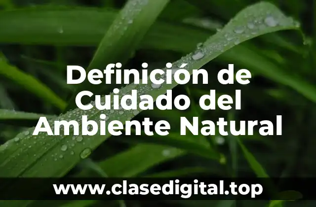 Definición de Cuidado del Ambiente Natural